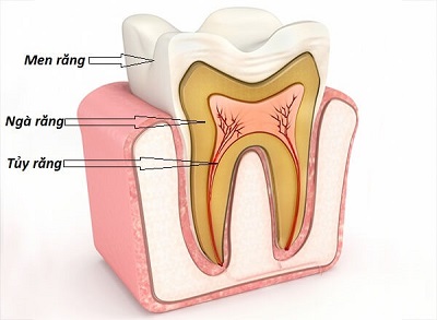 Viêm tủy răng và những dấu hiệu mà bạn nên biết